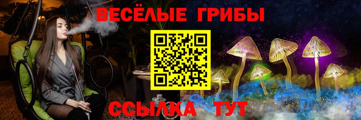 наркошоп  Псилоцибиновые грибы Psilocybine cubensis  Вход с VPN  Калач-на-Дону 